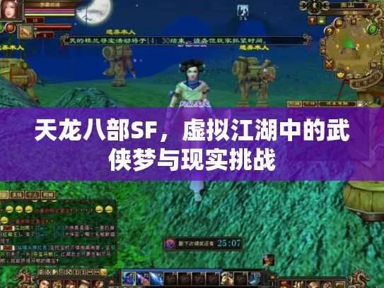 天龙八部SF，虚拟江湖中的武侠梦与现实挑战