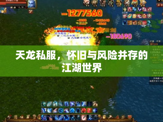天龙私服，怀旧与风险并存的江湖世界
