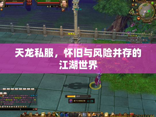 天龙私服，怀旧与风险并存的江湖世界