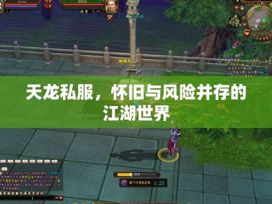 天龙私服，怀旧与风险并存的江湖世界