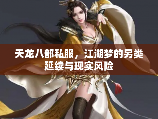 天龙八部私服，江湖梦的另类延续与现实风险