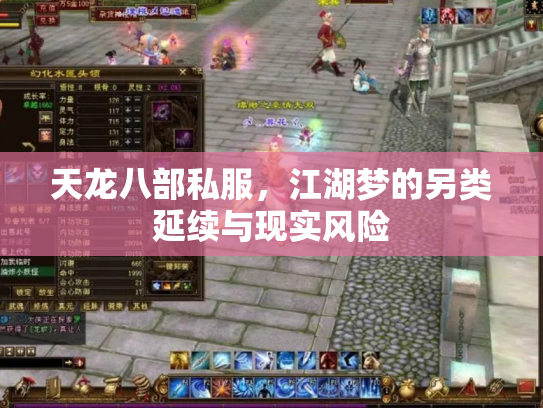 天龙八部私服，江湖梦的另类延续与现实风险
