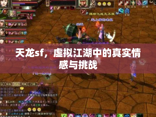 天龙sf，虚拟江湖中的真实情感与挑战