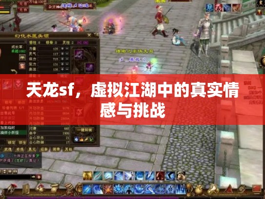 天龙sf，虚拟江湖中的真实情感与挑战