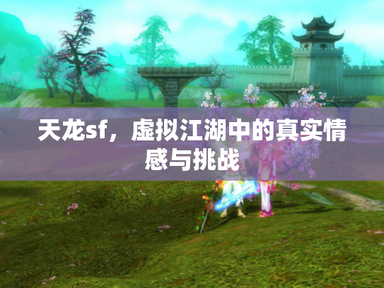 天龙sf，虚拟江湖中的真实情感与挑战