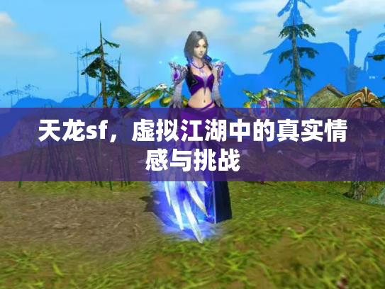 天龙sf，虚拟江湖中的真实情感与挑战