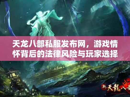 天龙八部私服发布网，游戏情怀背后的法律风险与玩家选择