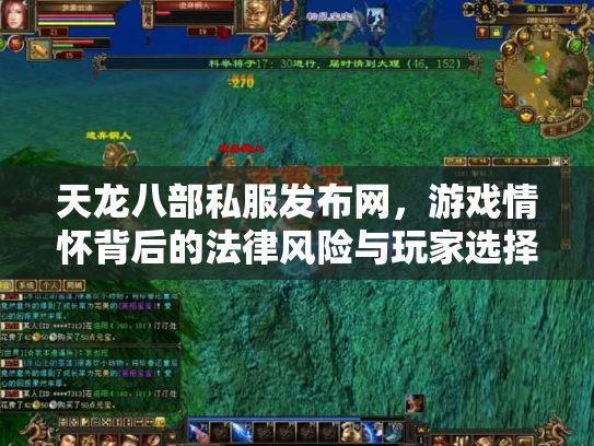 天龙八部私服发布网，游戏情怀背后的法律风险与玩家选择