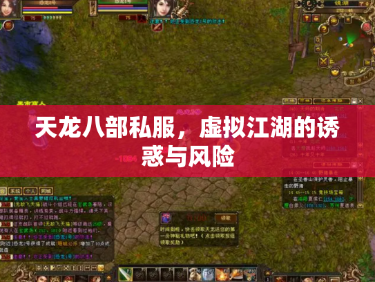 天龙八部私服，虚拟江湖的诱惑与风险