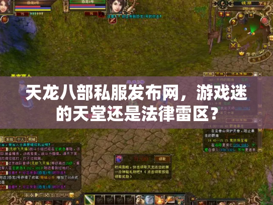 天龙八部私服发布网，游戏迷的天堂还是法律雷区？