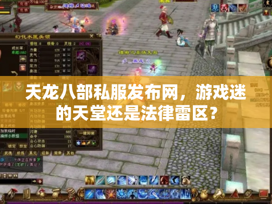 天龙八部私服发布网，游戏迷的天堂还是法律雷区？