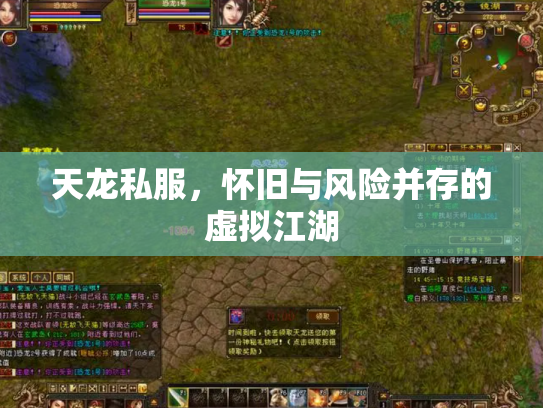 天龙私服，怀旧与风险并存的虚拟江湖