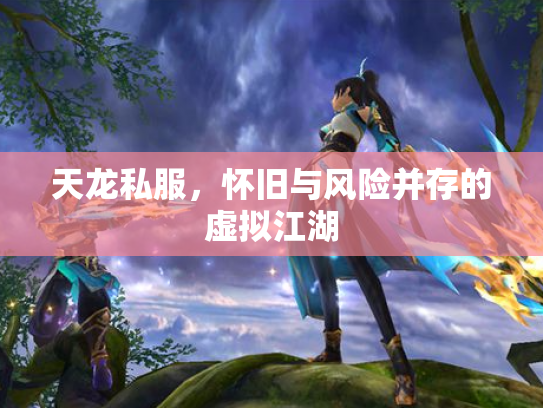 天龙私服，怀旧与风险并存的虚拟江湖