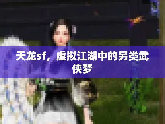 天龙sf，虚拟江湖中的另类武侠梦