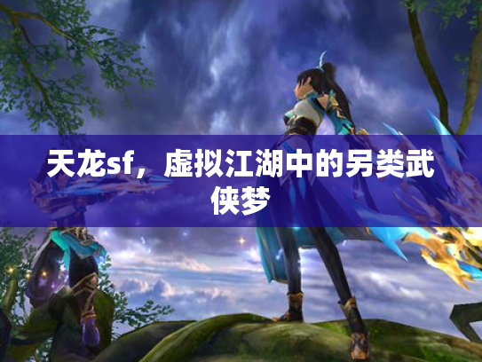 天龙sf，虚拟江湖中的另类武侠梦