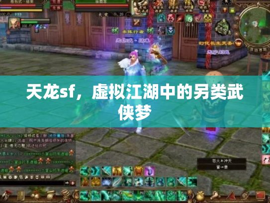 天龙sf，虚拟江湖中的另类武侠梦