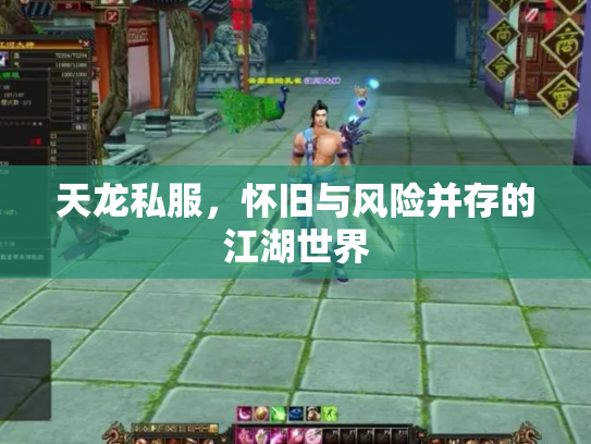 天龙私服，怀旧与风险并存的江湖世界