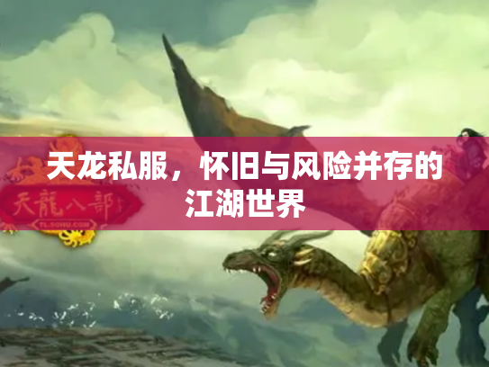 天龙私服，怀旧与风险并存的江湖世界