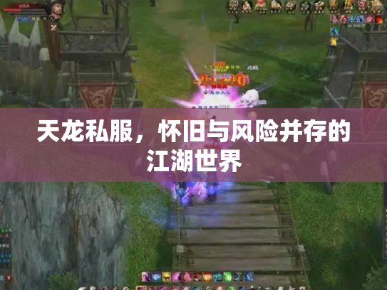天龙私服，怀旧与风险并存的江湖世界