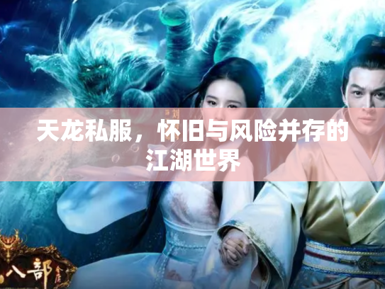 天龙私服，怀旧与风险并存的江湖世界