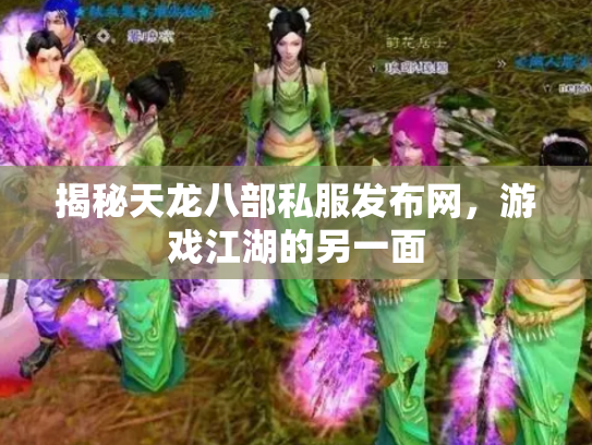 揭秘天龙八部私服发布网，游戏江湖的另一面