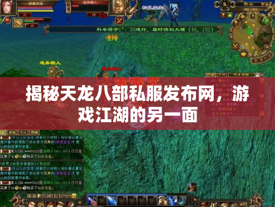 揭秘天龙八部私服发布网，游戏江湖的另一面