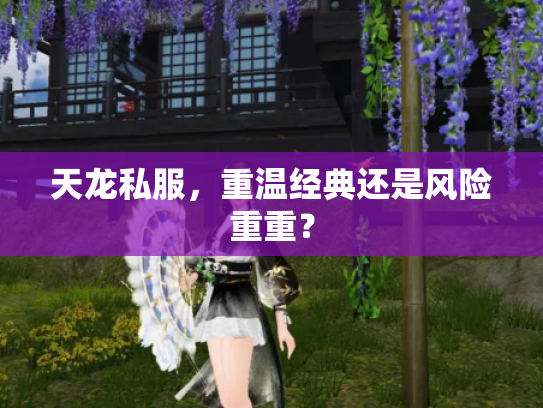 天龙私服，重温经典还是风险重重？