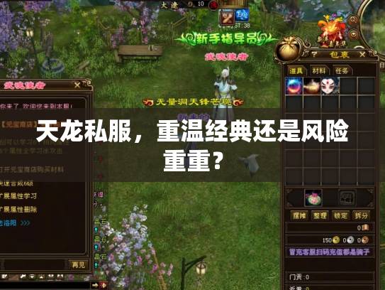 天龙私服，重温经典还是风险重重？