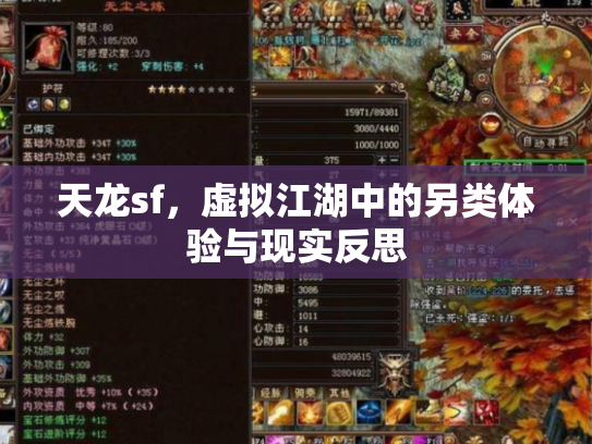 天龙sf，虚拟江湖中的另类体验与现实反思