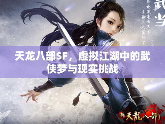 天龙八部SF，虚拟江湖中的武侠梦与现实挑战