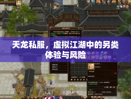 天龙私服，虚拟江湖中的另类体验与风险