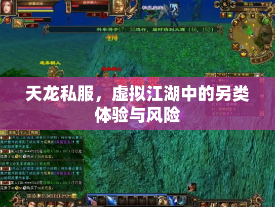 天龙私服，虚拟江湖中的另类体验与风险