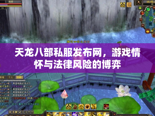 天龙八部私服发布网，游戏情怀与法律风险的博弈