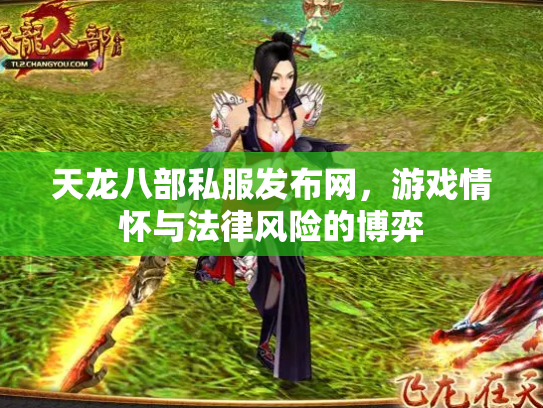 天龙八部私服发布网，游戏情怀与法律风险的博弈