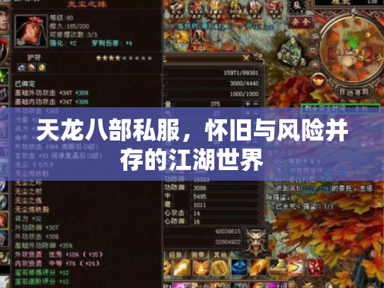 天龙八部私服，怀旧与风险并存的江湖世界