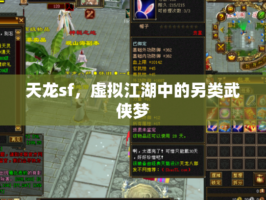 天龙sf，虚拟江湖中的另类武侠梦