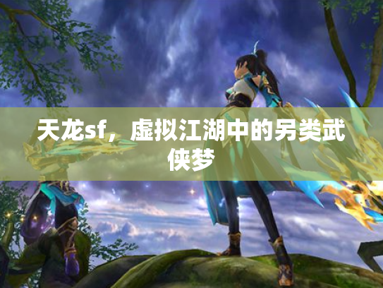 天龙sf，虚拟江湖中的另类武侠梦