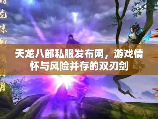 天龙八部私服发布网，游戏情怀与风险并存的双刃剑