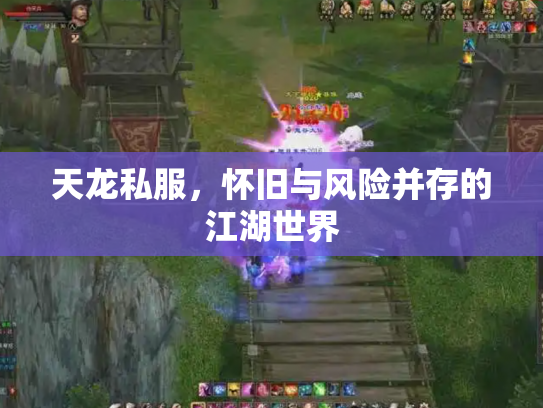 天龙私服，怀旧与风险并存的江湖世界