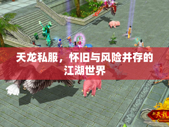 天龙私服，怀旧与风险并存的江湖世界
