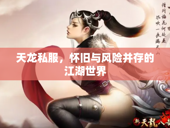 天龙私服，怀旧与风险并存的江湖世界