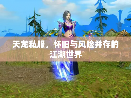 天龙私服，怀旧与风险并存的江湖世界