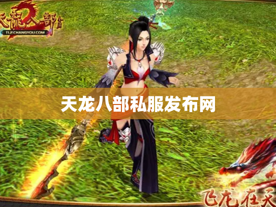 天龙八部私服发布网