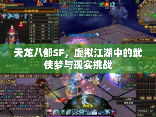 天龙八部SF，虚拟江湖中的武侠梦与现实挑战