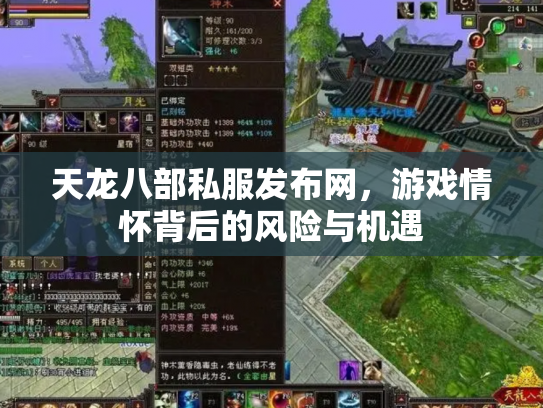 天龙八部私服发布网，游戏情怀背后的风险与机遇