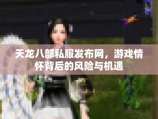 天龙八部私服发布网，游戏情怀背后的风险与机遇