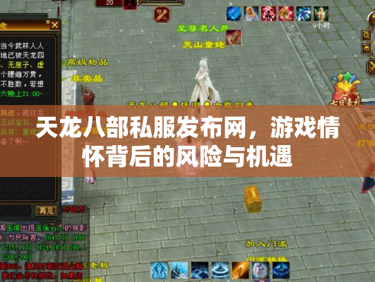 天龙八部私服发布网，游戏情怀背后的风险与机遇