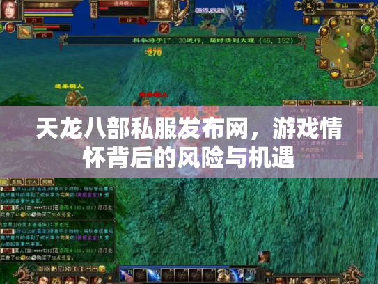 天龙八部私服发布网，游戏情怀背后的风险与机遇
