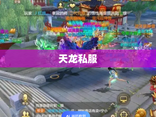天龙私服