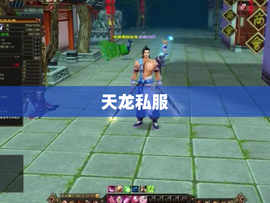 天龙私服